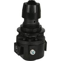 R&eacute;gulateur Wilkerson R26, 3/8" NPT, PSI max. de 300 psi, Standard Sécurité Médic