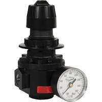 R&eacute;gulateur Wilkerson R26, 1/2" NPT, PSI max. de 300 psi, Standard Sécurité Médic