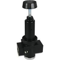 R&eacute;gulateur &agrave; d&eacute;bit &eacute;lev&eacute; R30 Wilkerson, 1" NPT, PSI max. de 300 psi, Standard Sécurité Médic