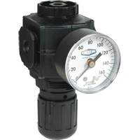 R&eacute;gulateur compact de s&eacute;rie 1, 1/2" NPT, PSI max. de 150 psi, Standard Sécurité Médic
