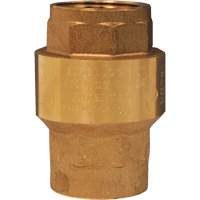 Horizontal Swing Check Valve Sécurité Médic