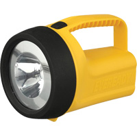 EverReady&reg; Readyflex Floating Lantern, LED, 80 Lumens, D Batteries Sécurité Médic