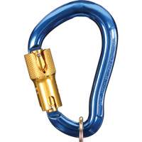 Nano-Lok Carabiner, Aluminum, 3600 lbs Capacity Sécurité Médic