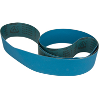 Blue Abrasive Belt Sécurité Médic