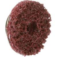 Disque TS &agrave; changement rapide 800072 P.A.R.T. # 30 Standard Abrasives, 5/8" dia., Grain Moyen, Oxyde d'aluminium Sécurité Médic