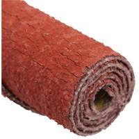 Cartouche de ruban abrasif en rouleau Standard Abrasives Sécurité Médic