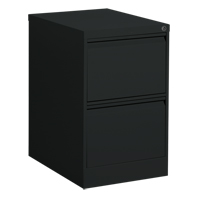 Vertical Filing Cabinet, Steel, 2 Drawers, 18-1/7" W x 25" D x 29" H, Black Sécurité Médic