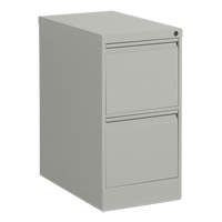 Vertical Filing Cabinet, Steel, 2 Drawers, 15-1/7" W x 25" D x 29" H, Grey Sécurité Médic