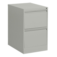 Vertical Filing Cabinet, Steel, 2 Drawers, 18-1/7" W x 25" D x 29" H, Grey Sécurité Médic