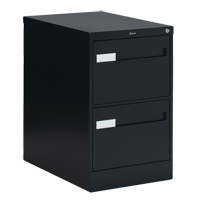 Vertical Filing Cabinet with Recessed Drawer Handles, 2 Drawers, 18.15" W x 26.56" D x 29" H, Black Sécurité Médic