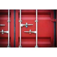 High Security Security Seal, 3-1/4", Metal, Bolt Seal Sécurité Médic