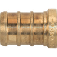 Capuchon de tuyau sans plomb, Tuyau, 1/2" dia., Laiton Sécurité Médic