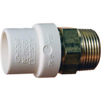 Adaptateur de tuyau filet&eacute;, Noeud x MPT, 1" dia., Laiton/PVC-C Sécurité Médic