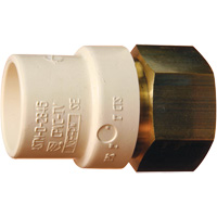 Adaptateur de tuyau filet&eacute;, Noeud x FPT, 1" dia., Laiton/PVC-C Sécurité Médic