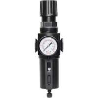 Manual Drain Filter/Regulator with Standard Bowl Modulair 300, 1/4" NPT, 150 PSI, 5.1 fl. oz. Capacity Sécurité Médic