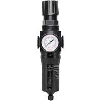 Manual Drain Filter/Regulator with Metal Bowl Modulair 300, 1/4" NPT, 250 PSI, 5.1 fl. oz. Capacity Sécurité Médic