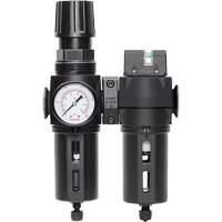 Manual Drain Filter, Regulator & Coalescing Filter with Standard Bowl Modulair 300, 1/4" NPT, 150 PSI, 5.1 fl. oz. Capacity Sécurité Médic
