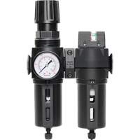 Filter/Regulator & Coalescing Filter Modulair 300 with Standard Bowl & Manual Drain, 3/8" NPTF, 150 PSI, 5.12 fl. oz. Capacity Sécurité Médic
