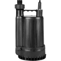 Pompe utilitaire en thermoplastique, 115 V, 2200 gal/h, 1/4 CV Sécurité Médic