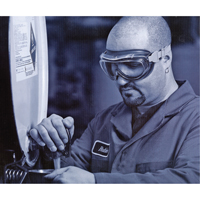 Uvex&reg; Flex Seal Safety Goggles, 3.0 Lens, Anti-Fog, Indirect Vent Sécurité Médic