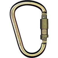 Carabiners, Steel, 5000 lbs Capacity Sécurité Médic