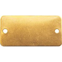 Blank Tags, Brass, 3" W x 1" H Sécurité Médic