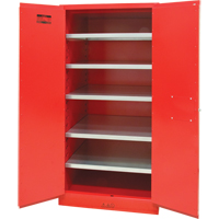 Armoire pour peintures et encres, 96 gal., 5 tablettes Sécurité Médic