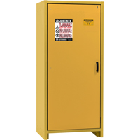 Armoire d'entreposage 30 minutes s&eacute;curitaire et conforme &agrave; la norme EN, 30 gal., 1 Porte(s), 34,02" La x 76,65" h x 24,21" p Sécurité Médic