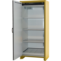 Armoire d'entreposage 30 minutes s&eacute;curitaire et conforme &agrave; la norme EN, 30 gal., 1 Porte(s), 34,02" La x 76,65" h x 24,21" p Sécurité Médic