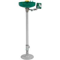 Axion&reg; Eye/Face Wash Station, Pedestal Installation, Plastic Bowl Sécurité Médic