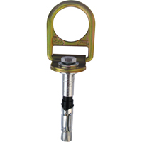 PRO Concrete D-ring Anchor with Bolt, Concrete/D-Ring, Permanent Use Sécurité Médic