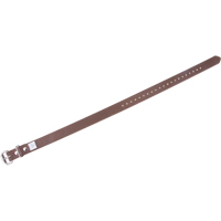 Leg Straps Sécurité Médic