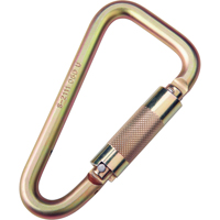 Saflok Carabiners, Steel, 3600 lbs Capacity Sécurité Médic