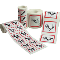 GHS Pictogram Labels, Vinyl, Roll, 4" L x 4" W Sécurité Médic