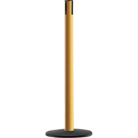 Advance TensaBarrier&reg; - Receiver Post, 36" High, Yellow Sécurité Médic