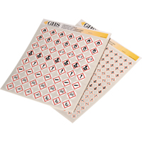 Assortiment d'&eacute;tiquettes avec pictogrammes sgh, Vinyle, Feuille, 1/2" lo x 1/2" la Sécurité Médic