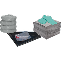 Trousse de rechange pour atelier, 30 gallons, Universel Sécurité Médic