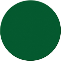 Armor Stripe Lean/5S Markers, Circle, 6" L x 6" W, Green, Plastic Sécurité Médic