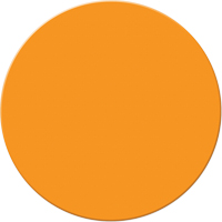 Armor Stripe Lean/5S Markers, Circle, 6" L x 6" W, Orange, Plastic Sécurité Médic