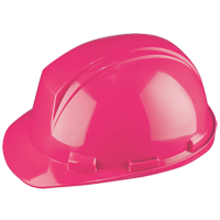Casque Mont-Blanc de North, R&eacute;pond aux normes CSA type 2, Suspension Rochet, Non ventil&eacute; Sécurité Médic