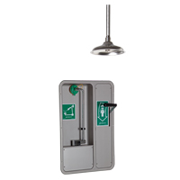 Eye/Face Wash and Shower, Ceiling-Mount Sécurité Médic