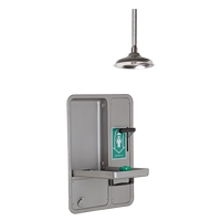 Eye/Face Wash and Shower, Ceiling-Mount Sécurité Médic