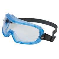Uvex&reg; Entity Safety Goggles, Clear Lens, Anti-Fog, Indirect Vent Sécurité Médic