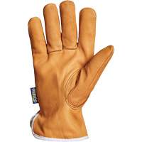 Endura&reg; Driver's Glove, Small, Grain Goatskin Palm, Thinsulate Inner Lining Sécurité Médic