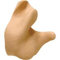 Earplugs
