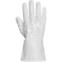 Ground Hog Electro-Static Spray Painting Gloves, Size Large, 11.5" L, Polyurethane Sécurité Médic