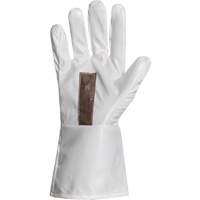 Ground Hog Electro-Static Spray Painting Gloves, Size Large, 11.5" L, Polyurethane Sécurité Médic