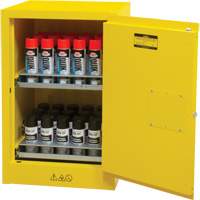 Flammable Aerosol Storage Cabinet, 12 gal., 1 Door, 23" W x 35" H x 18" D Sécurité Médic