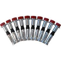 Replacement Bolt Kit for Concrete D-Ring Anchors, Bolt-On, Permanent/Temporary Use Sécurité Médic