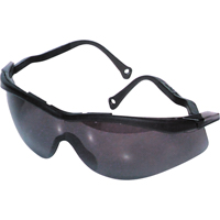 North&reg; The Edge Safety Glasses, Smoke Lens, Anti-Fog/Anti-Scratch, Meets/Exceeds CSA Z94.3 Sécurité Médic